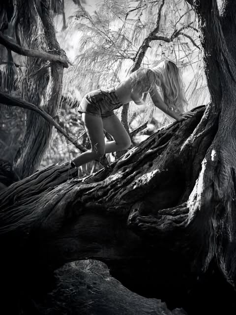 Silhouette dans un arbre en noir et blanc